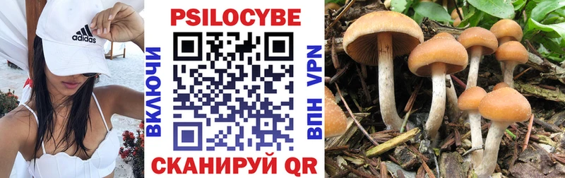 Галлюциногенные грибы Psilocybe  Купить закладки  Кировск 